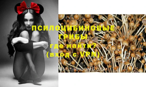 дмт Михайловка