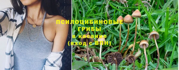 дмт Михайловка