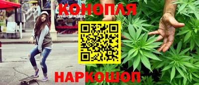 бошки Тара