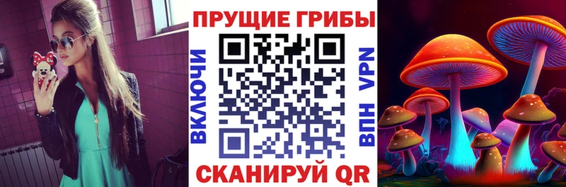 Галлюциногенные грибы MAGIC MUSHROOMS  что такое наркотик  Прохладный 